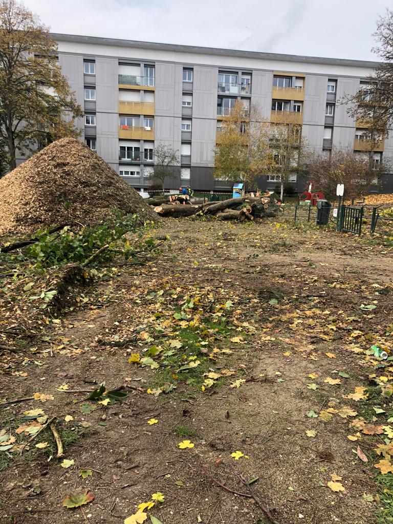 La réalité derrière "Verrières Ville Arboretum"... Les riverains et nous n'avons pas été écoutés.
Cela permet malgré tout de clarifier le projet de la majorité pour notre ville, à quelques heures d'une réunion publique "d'information" (et bien entendu pas de concertation).