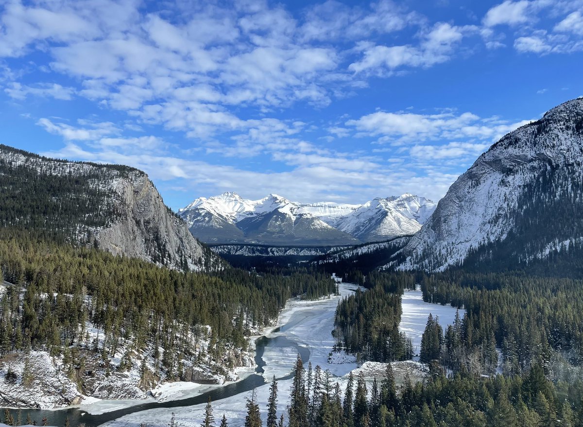 IPPSACONFERENCE tweet media