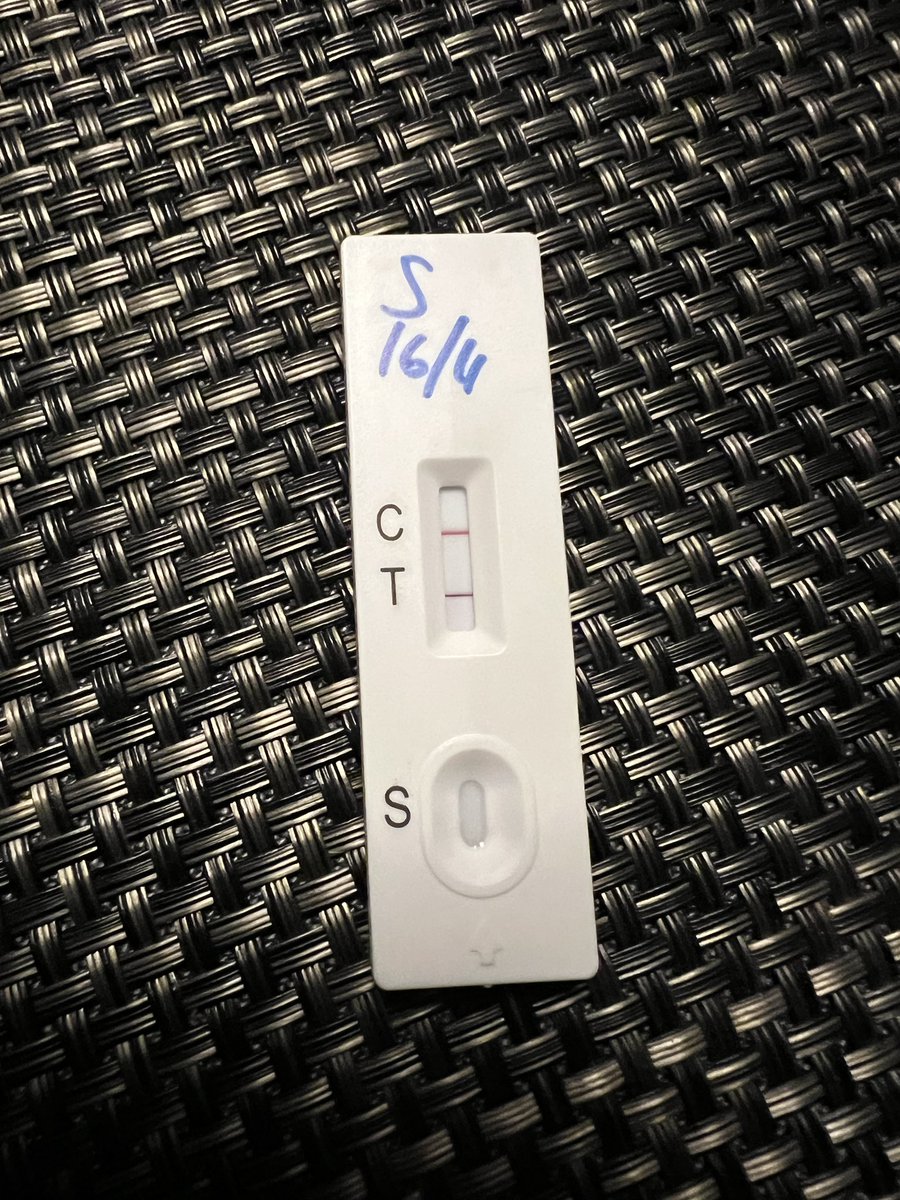 @sufw.me 🌻 tweet media