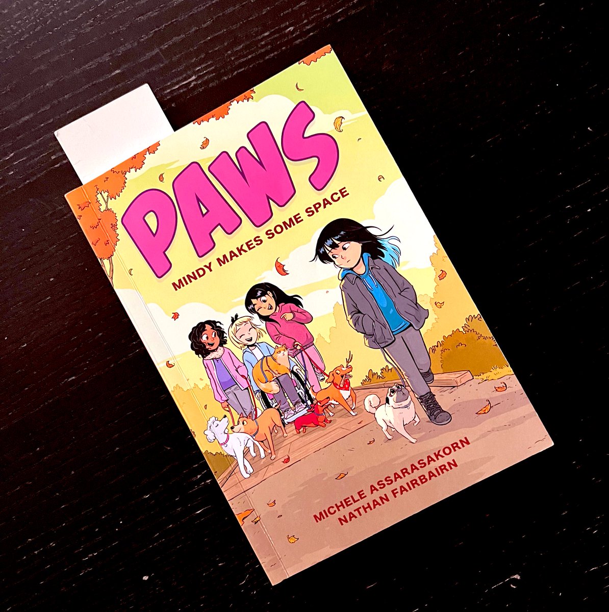Got the brand new volume of the PAWS in the mail a few days ago from @nathanfairbairn It’s a HUGE hit in the Samnee house. Our kids have already read it cover to cover multiple times 😊📚 Thanks again, Nathan! Wonderful work by you & @msassyk 🐶 🐾 ♥️