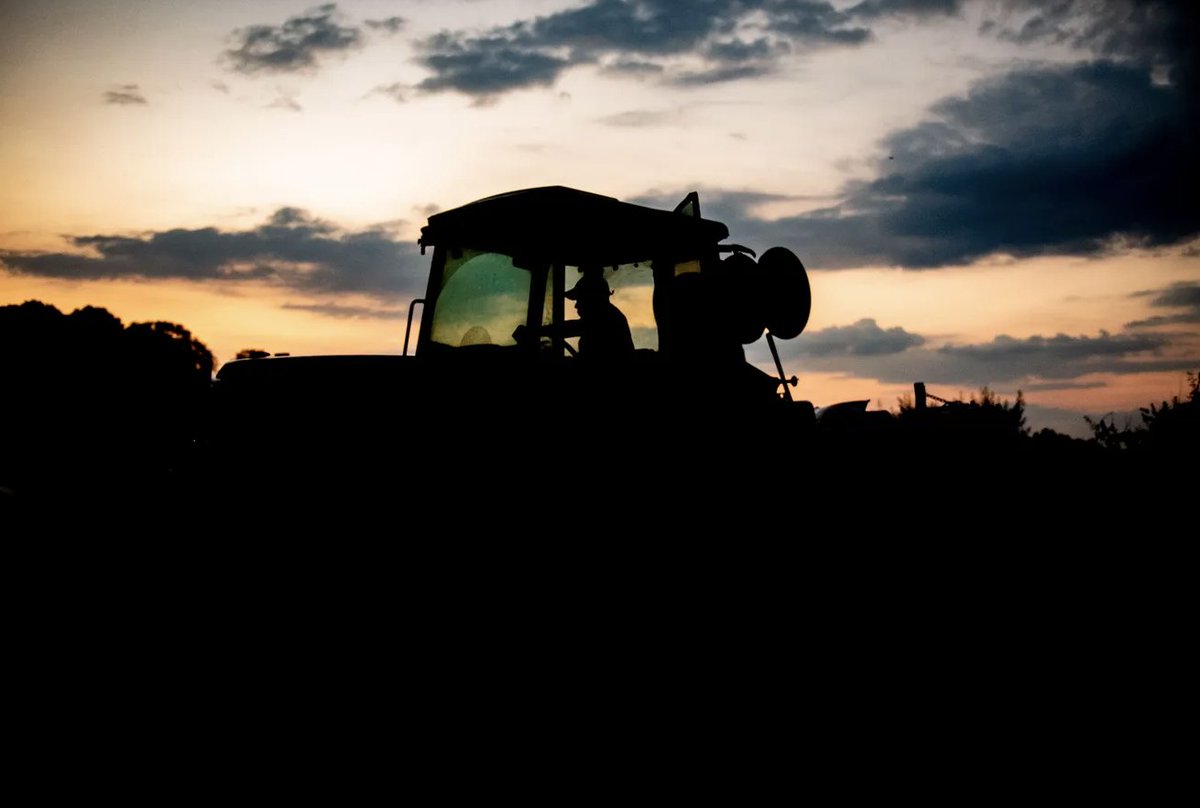 Each of his perfect peaches is a tribute to the legacy of Black farming in South Carolina

Story here by <a href="/lpenso/">Lillia Callum-Penso</a> &amp; <a href="/carolemotsinger/">Carol Motsinger</a> ---> tinyurl.com/ayxdk8zd