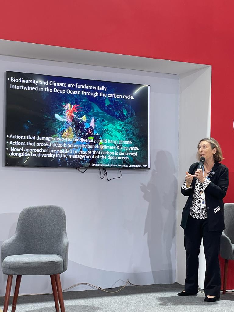 DeepSeaConserve's tweet photo. @jcordanos @Minrel_Chile "There are already #ClimateChange impacts in the #DeepSea and #DeepSeaMining will just exacerbate." @LlevinAnn at the #COP27 event discussing why we should #DefendTheDeep! #ISA27 https://t.co/gEQ8Yw2c7e