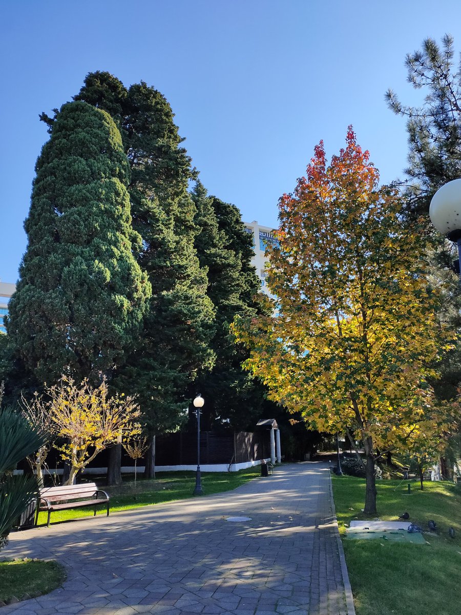 Осень? Нет лето ещё. +20 на днях ожидается.