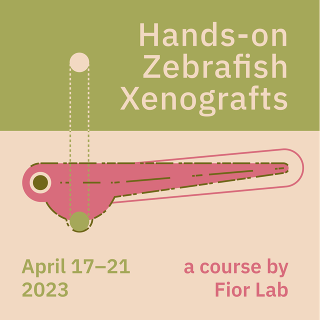FiorLAB tweet media