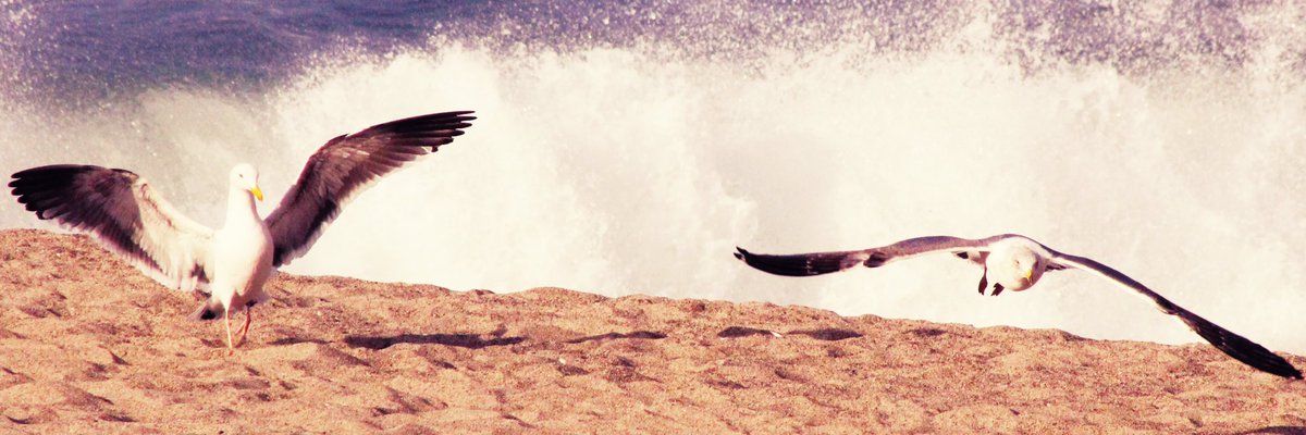 Rough seas out here…such a blessing to find #FRIENDS both new virtual ones &amp; those long lasting thru life.

TY <a href="/marccella13/">marccella</a> &amp; @ceciliafig for sharing your energy of #Gratitude in the @joinWISDOM talk today❤️

REPLAY🌷👉🏼join.wisdom.audio/aAeJ