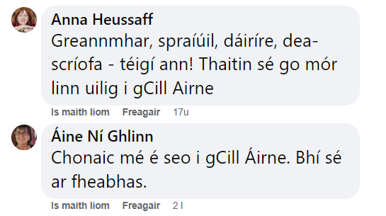 ImramFeile's tweet photo. Léirmheasanna ó bheirt scríbhneora den scoth ar dhráma úr @AerachG 🌈
Bígí linn amárach sa phríomhspás in @smockalley don léiriú ilmheánach seo.
🎟️€10 https://t.co/KYbHEEVvRm
#IMRAM #Gaeilge #Dublin https://t.co/zQC3BZNrhY