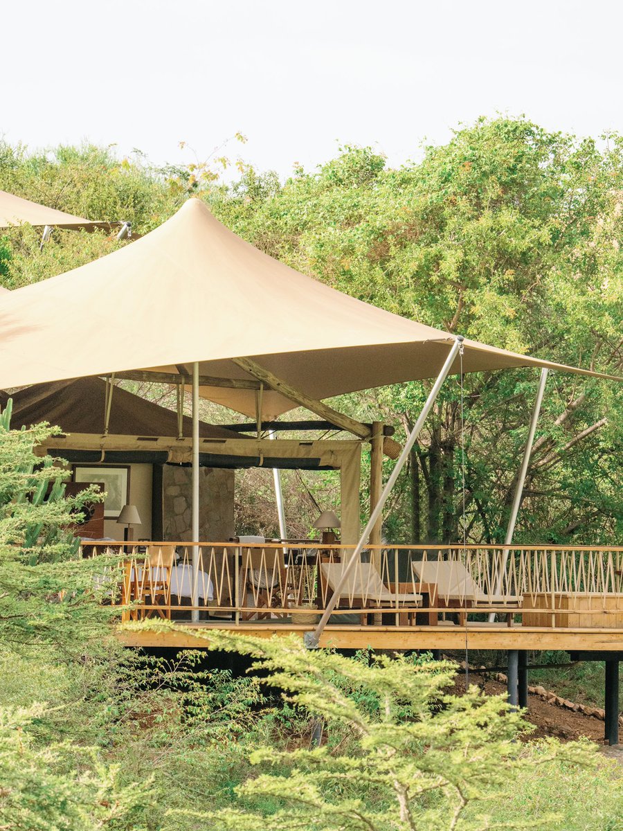 Bushtops Camps tweet media