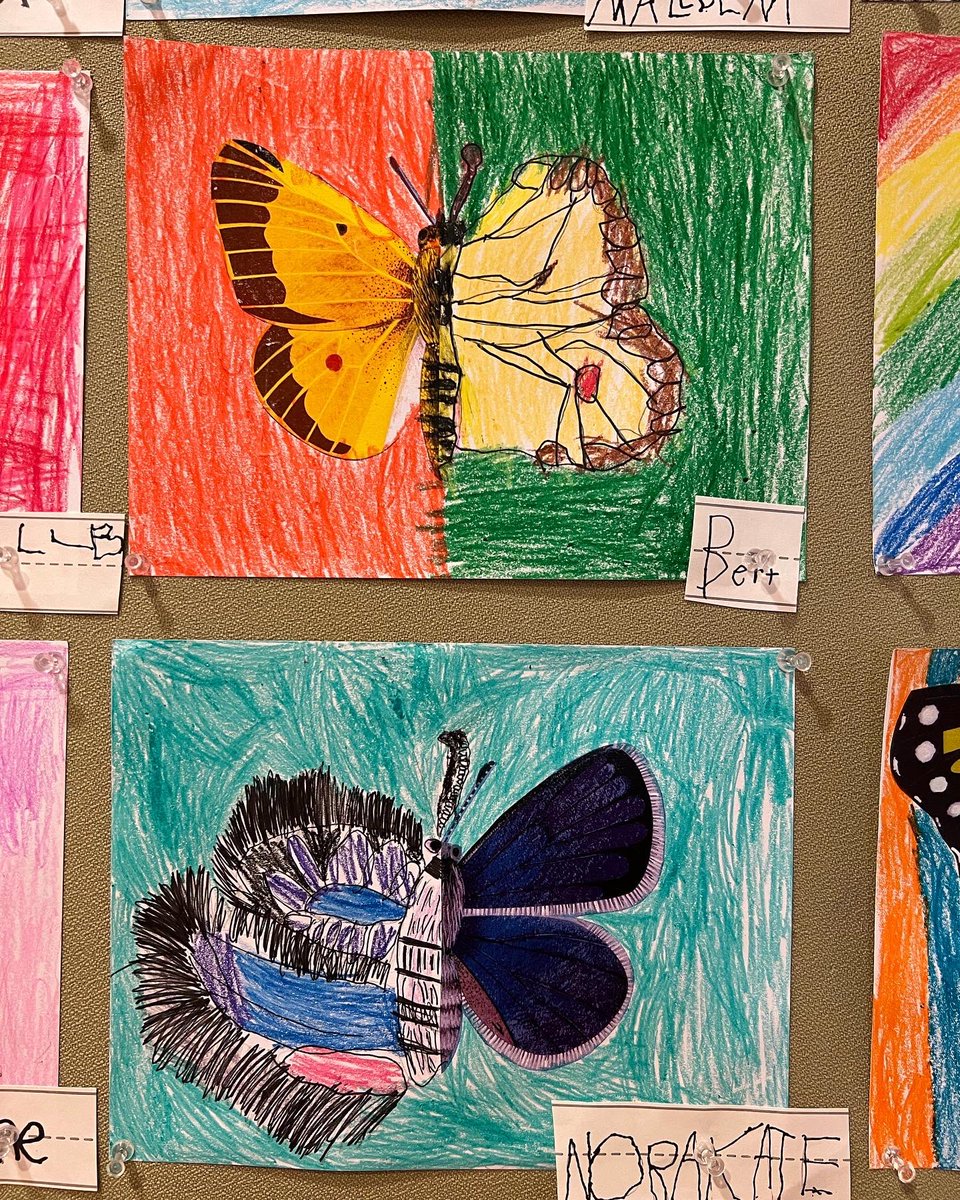 explorewithCHDS's tweet photo. First Graders have spent the past few weeks examining the lifecycle of a butterfly. As part of this exploration, students used Geraldo Valério's book "My Book of Butterflies" as inspiration to craft these beautiful butterfly symmetry drawings. 🦋🎨 https://t.co/iwtxm6jSeB