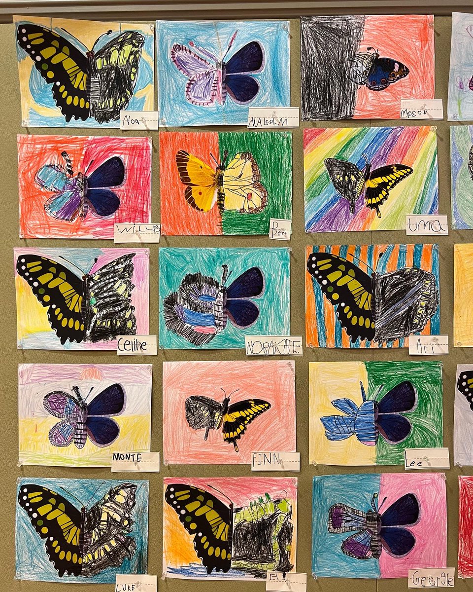 explorewithCHDS's tweet photo. First Graders have spent the past few weeks examining the lifecycle of a butterfly. As part of this exploration, students used Geraldo Valério's book "My Book of Butterflies" as inspiration to craft these beautiful butterfly symmetry drawings. 🦋🎨 https://t.co/iwtxm6jSeB