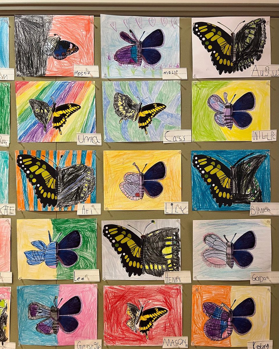 explorewithCHDS's tweet photo. First Graders have spent the past few weeks examining the lifecycle of a butterfly. As part of this exploration, students used Geraldo Valério's book "My Book of Butterflies" as inspiration to craft these beautiful butterfly symmetry drawings. 🦋🎨 https://t.co/iwtxm6jSeB