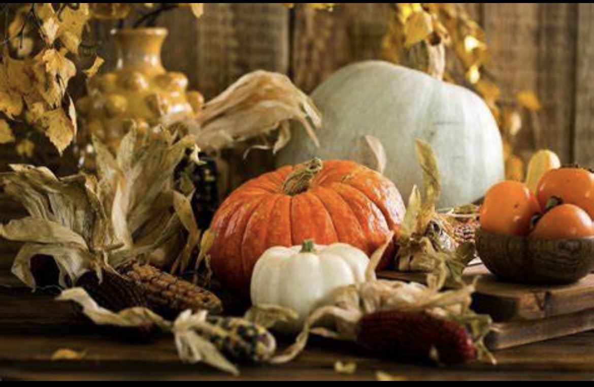 cporaleigh's tweet photo. November 21st, 22nd and 23rd of Thanksgiving Week (Mon, Tuesday, Wed) CPO will be open from 9am-11am. https://t.co/QNAtEAL9Fr