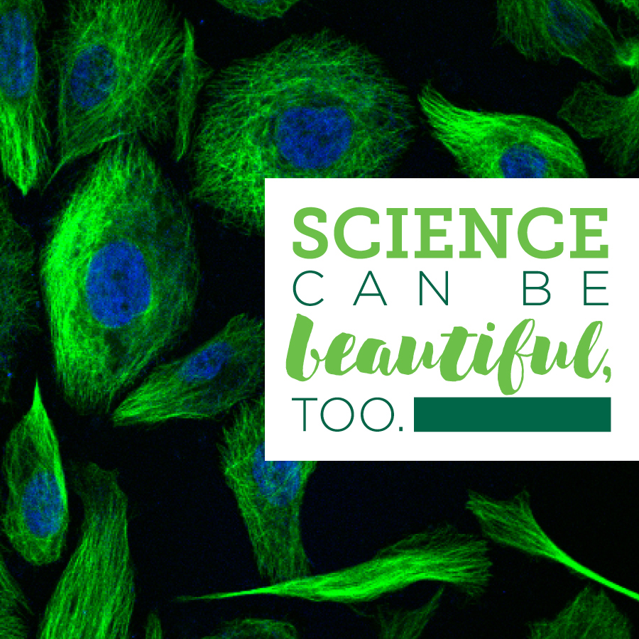 Rachel Coker (@rmcoker) on Twitter photo Enter the <a href="/BinghamtonU/">Binghamton University</a> Art of Science contest today! Share the beauty of science through images. This year’s top prize is an iPad! Entries are due Feb. 27. To enter: forms.gle/uLsh5oAmcgAt2a… #sciart #SUNYresearch Enter the <a href="/BinghamtonU/">Binghamton University</a> Art of Science contest today! Share the beauty of science through images. This year’s top prize is an iPad! Entries are due Feb. 27. To enter: forms.gle/uLsh5oAmcgAt2a… #sciart #SUNYresearch