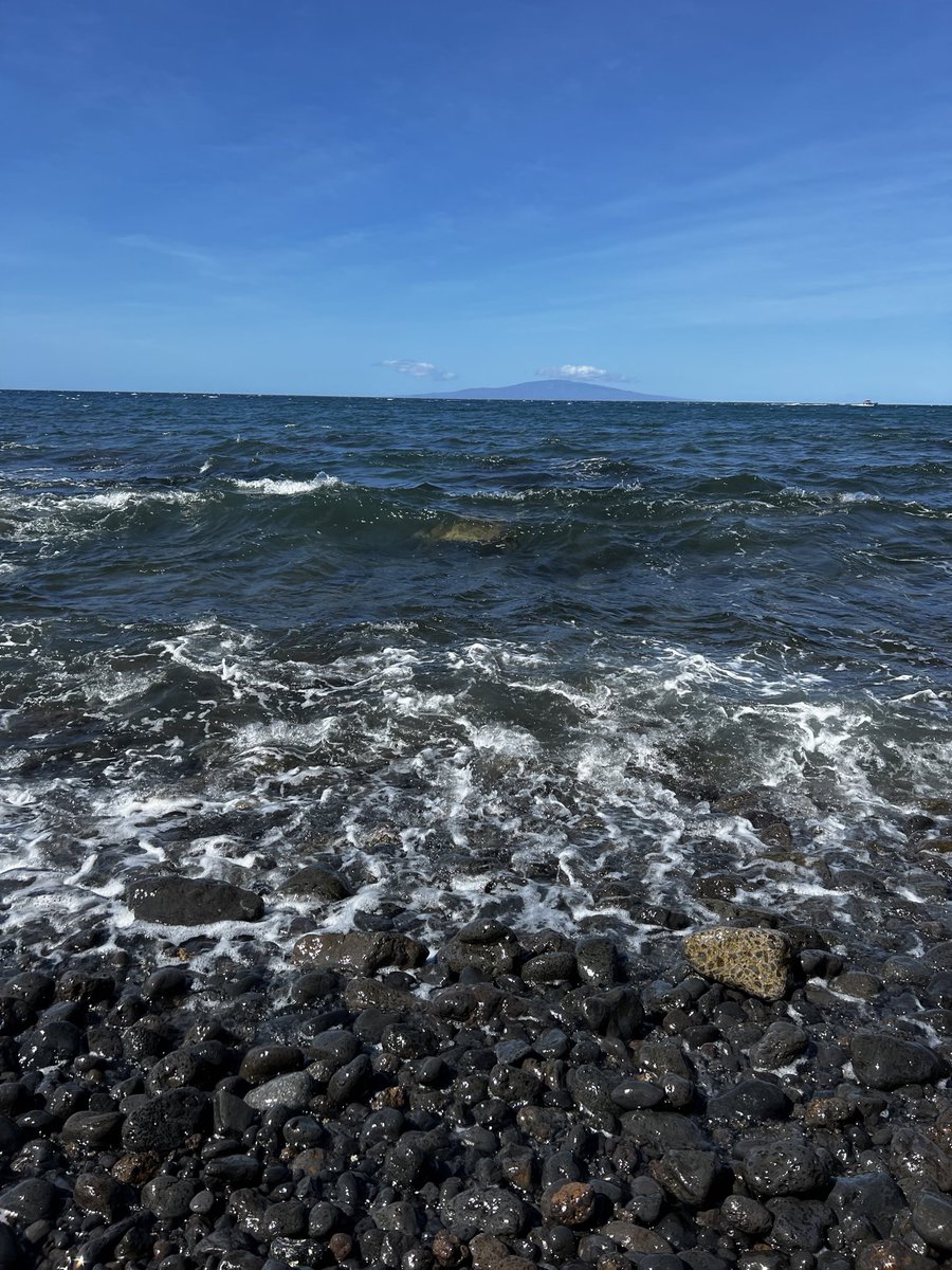shokatstyle's tweet photo. Spent the morning in conscious presence. #maui #powerofnnow #retreat #present #seaturtles https://t.co/H1b2Jp7uOo