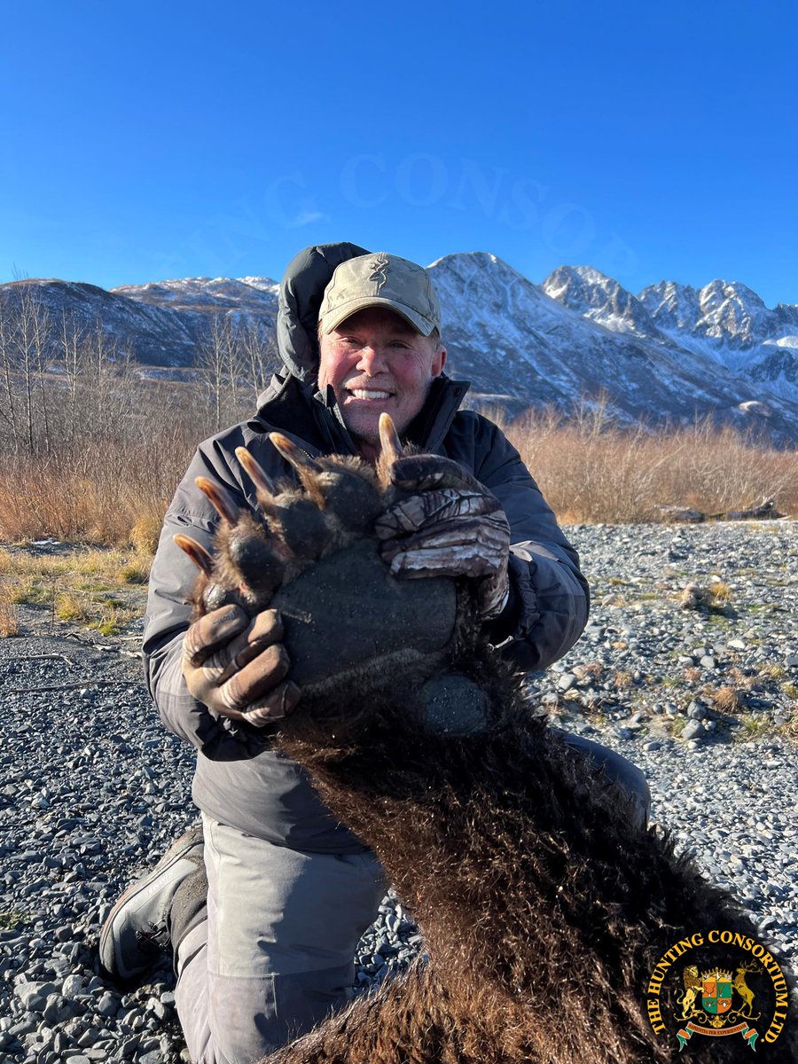 huntconsortium's tweet photo. Would you believe that Kodiak bears are the largest bears in the world?

A large male can stand over 10’ tall when on his hind legs and can weigh anywhere from 600 to 1,400 lbs!

#huntcon #huntingconsortium #booneandcrockett #alaskahunting #hunting #hunt  #outdoors #sportsmen https://t.co/YCFkX0FUI9