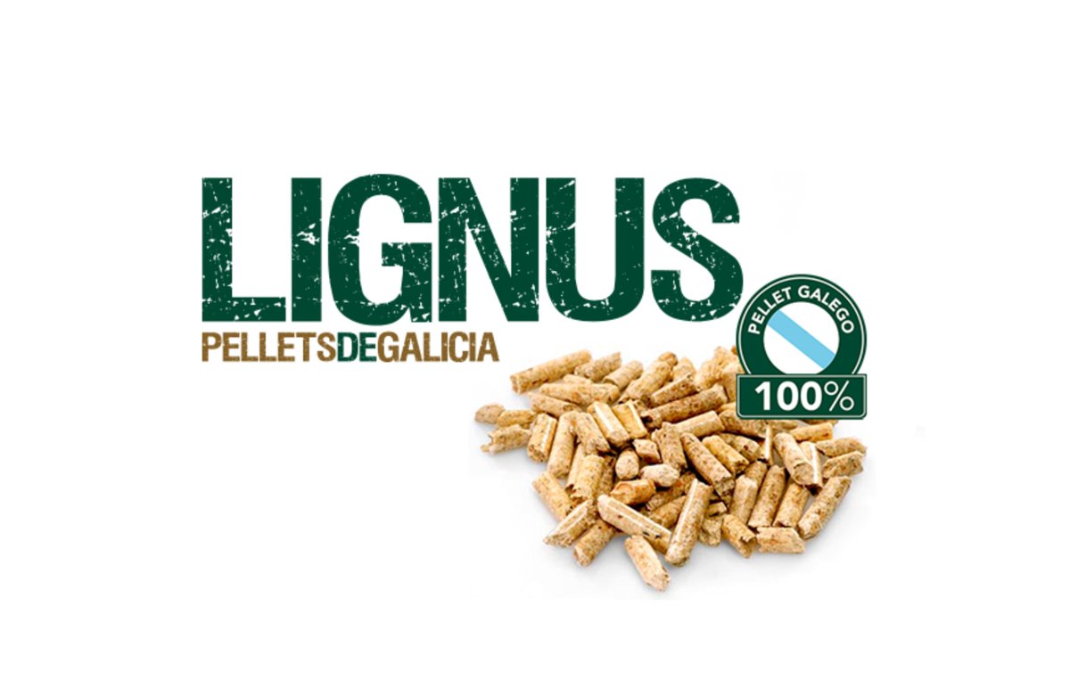 SinSon10k's tweet photo. 🔥💚 @LignusPellets, quencendo a #SINSON10K‼
Unha marca baseada na excelencia do seu produto e servizo, os PELLETS DE GALICIA❕Coñéceos en 👉 https://t.co/1CCiRSZ7tv
💚💙 GRACIÑAS INFINITAS, #LIGNUS 💚💙
#SINSON10K 💚 #SINSON10K2022
#OsXeniaisPatrocinadoresDaSINSON10K2022 https://t.co/gnNTp8tMsu