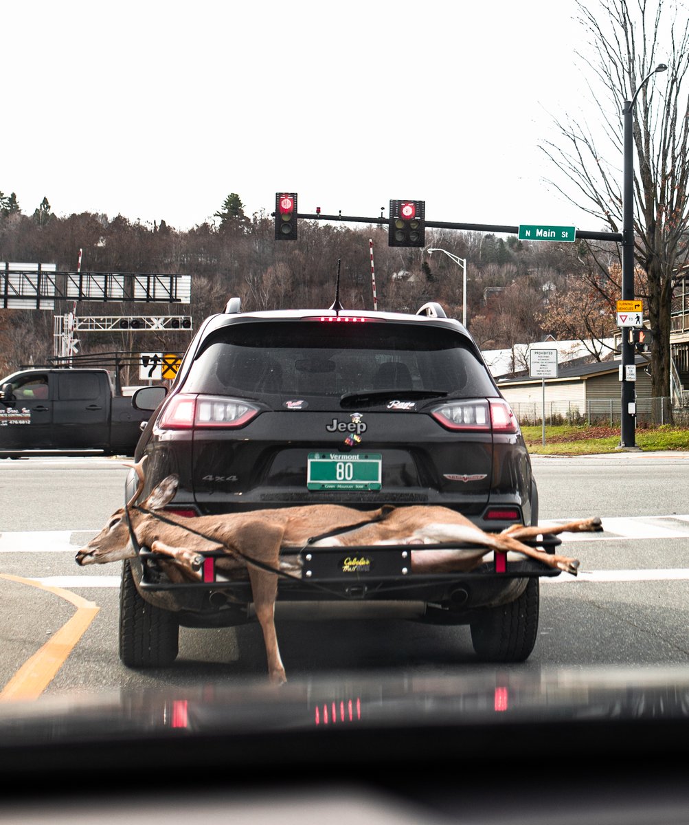 fotogosaurus's tweet photo. feeding a family https://t.co/MBqwNIpreq #VT #Vermont #NewEngland #Hunting #DeerSeason #DeerHunting #FourPointer #AfterTheHunt #onTheRoad #StillLife #November #TheSeason #Sigma #Canon https://t.co/q1tg8nBLnr