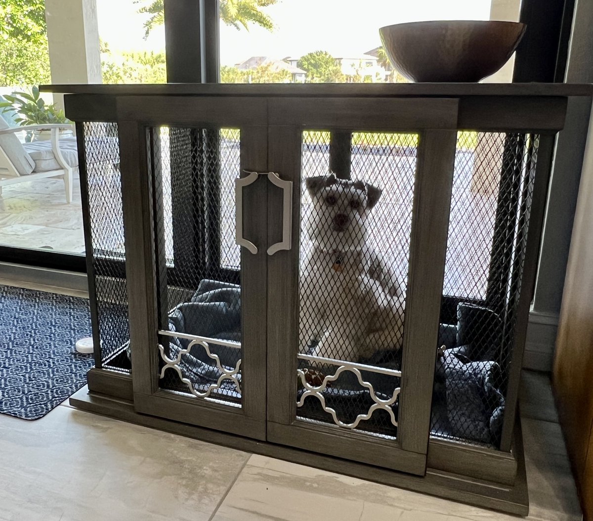 FlokiTheFizzgig's tweet photo. New bed downstairs. I likes it! It’s taller and I have room to sploot. The other one was not tall enough for me to sit up in anymore. I was 3 lbs when I first came home. I’s a lot bigger now. #dogsoftwitter #SchnauzerGang #Flokifun https://t.co/efW2oC9kjG