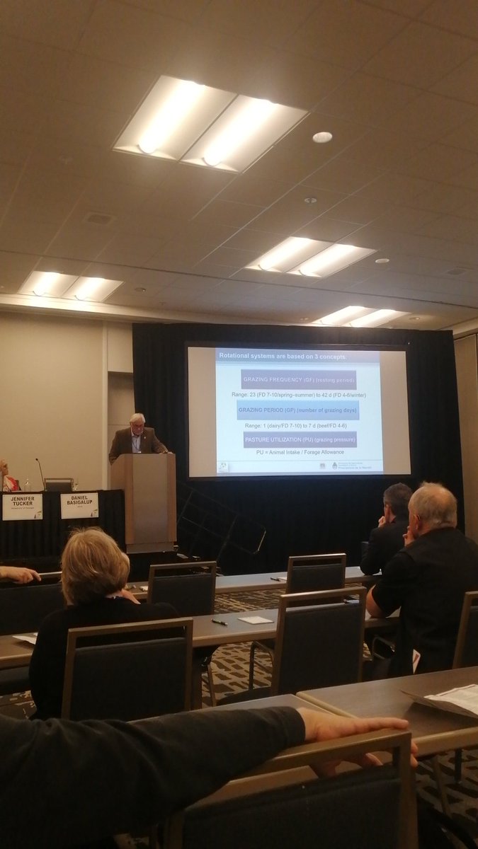 Ariel Odorizzi tweet media