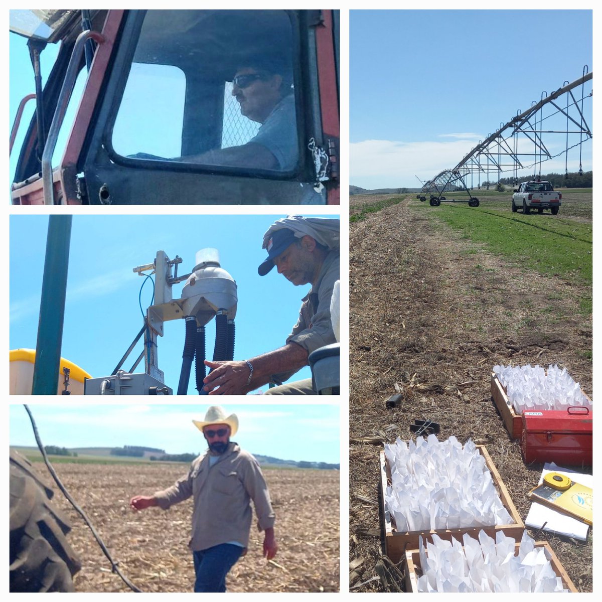 maroalmo's tweet photo. Hoy sembramos en @INTABalcarce ensayos del plan de #mejoramiento de soja de INTA! Seleccionando en el S de Bs As #VALORAGREGADO a la semilla
Este año con #riego 💦🙌
Trabajando en red c @INTABordenave 

#GRACIAS a ellos: Silvio, Choco y Mauro...c ellos TODO ES POSIBLE! https://t.co/JPpUKyWYeS
