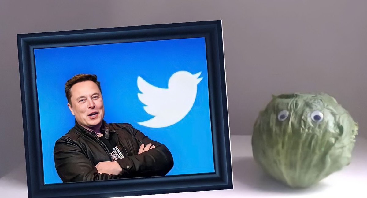 💙🌸 Mimi 🌸💙 tweet media