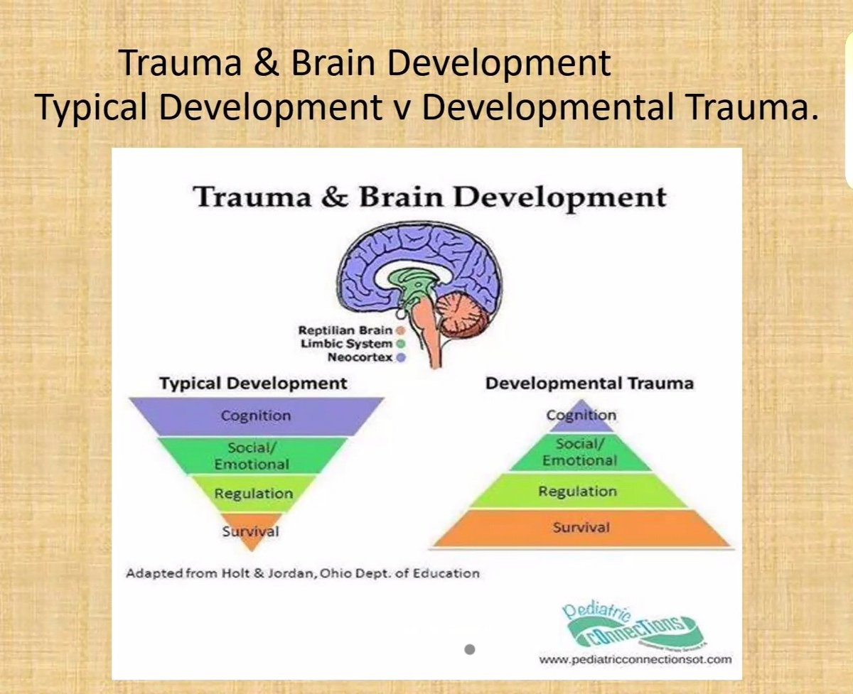 dudgeont1's tweet photo. Thank you @gerrydiamond71 for your presentation tonight. This visual really hit home with why we must be trauma responsive in our settings supporting our young people. #relationshipsarekey #regulaterelatereason https://t.co/Lu7bF7xKws
