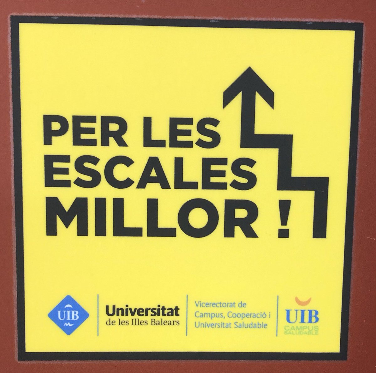 AmorosMargarita's tweet photo. Per tota la UIB podem trobar infografia que ens anima als estudiants a portar una vida saludable i a reflexionar sobre els nostres hàbits. Francament, dona gust veure com tot el que ens diuen els professors no és teoria, sinó que la UIB també ho posa en pràctica @EFsaludable_UIB https://t.co/zoijX38tPo