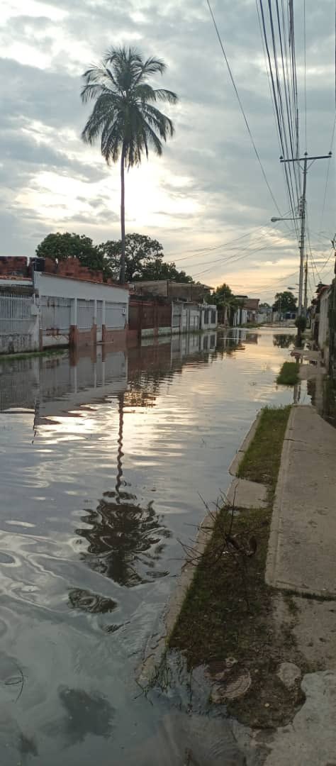 julsanchez's tweet photo. Vecinos de la Esmeralda reportan que sus casas se están inundando sin llover en la zona, mientras llueve en el norte de #Maracay bajan las aguas hacia la zona sur https://t.co/yarpi3BoVK