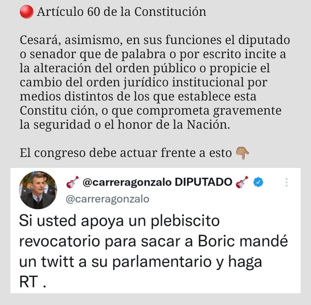 Flor Maria🌳🌳🌳 tweet media