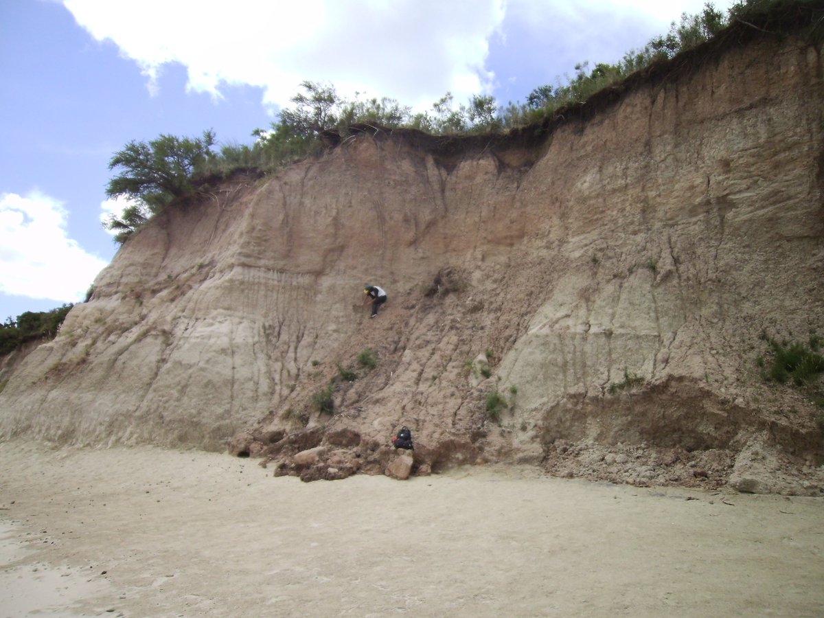 Leo___Lagos's tweet photo. ¿Qué otras nuevas especies nos esperaban en los barrancos de Arazatí? ¿Cuánto podríamos conocer sobre la biodiversidad de nuestro país, el continente y los cambios que venimos atravesando? Esperemos que la potabilizadora no ahogue nuestra sed de conocimiento. https://t.co/Epn9HCT22m