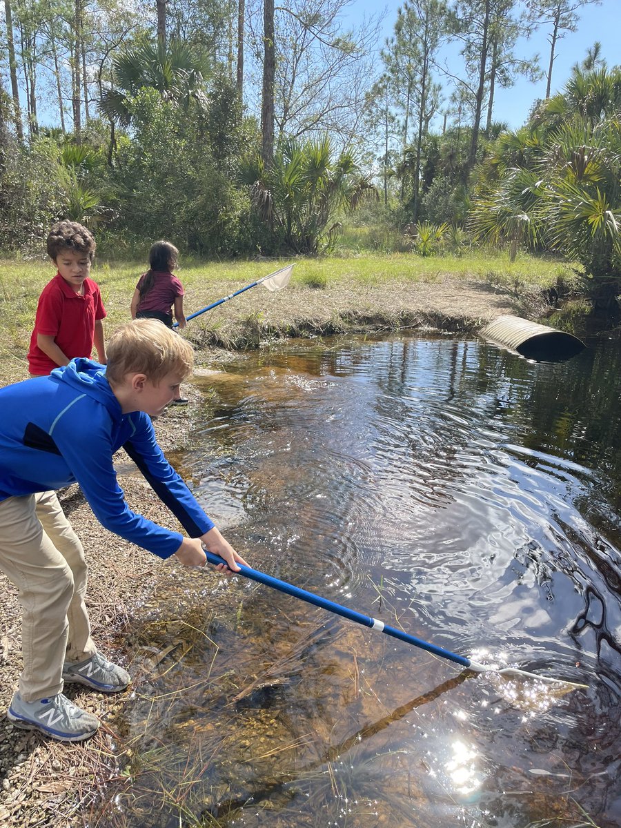 The kids had a great time @CREWTrust walking the marsh trails, dip netting, and adding to their animal classification knowledge on our first field trip of the year! Julie and Paola were awesome guides! <a href="/CESCorkyBear/">Corkscrew Elementary</a>
