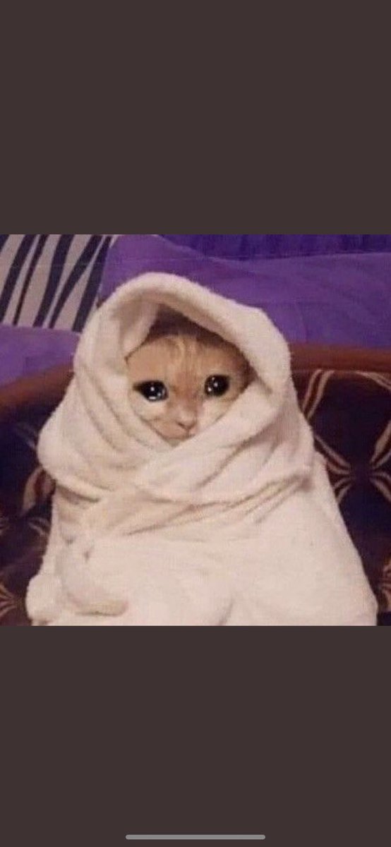 NonConosciuta's tweet photo. me at the end of episode 7

 #fromscratchnetflix https://t.co/9p0LhNUUii