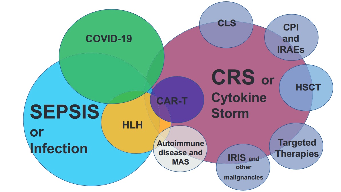 From this issue of @IDClinics is a great article about 'Cytokine Release Syndrome and Sepsis'

Added to the 'CAR-T' 'BMT Noninfectious' 'Biologics' and 'COVID-19' folders in transplantid.net by @belga_sara 
 sciencedirect.com/science/articl…