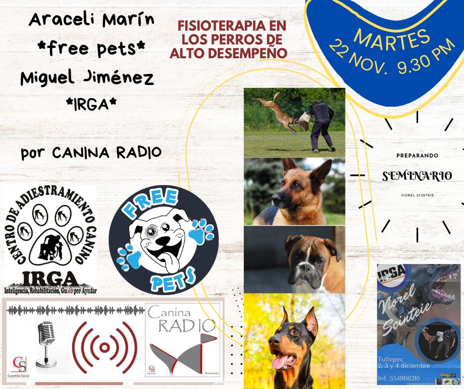 ¿Qué pasa con el cuerpo de nuestros #perros de alto desempeño?

¿Cómo poderlos ayudar antes, durante y después de cada prueba?

te invitamos a este programa especial por facebook live de canina radio.