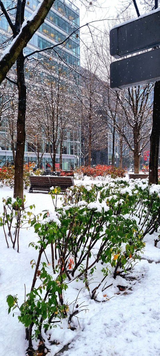 EdranLoo's tweet photo. @Montreal ❄️☃️ https://t.co/AqH54pQdTe