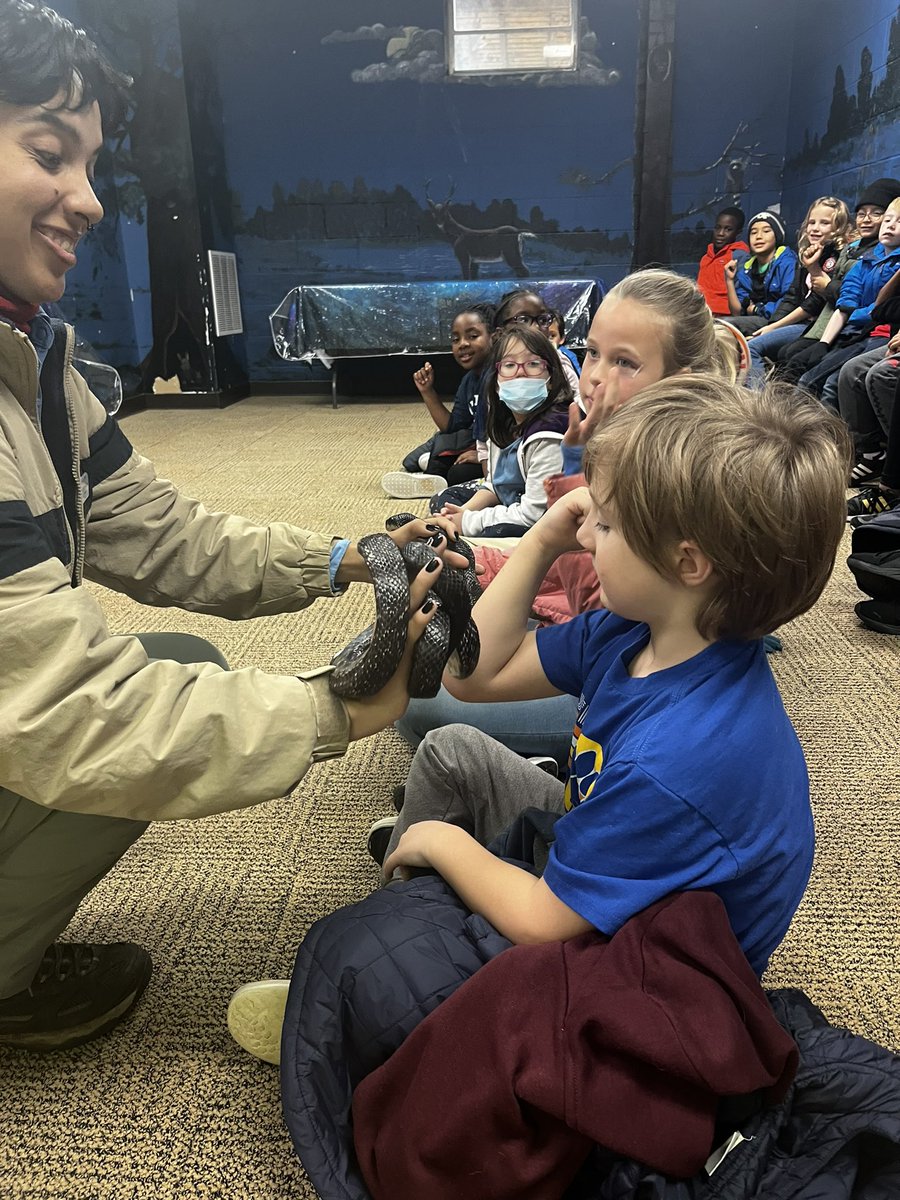 Hillside 2nd Grade tweet media