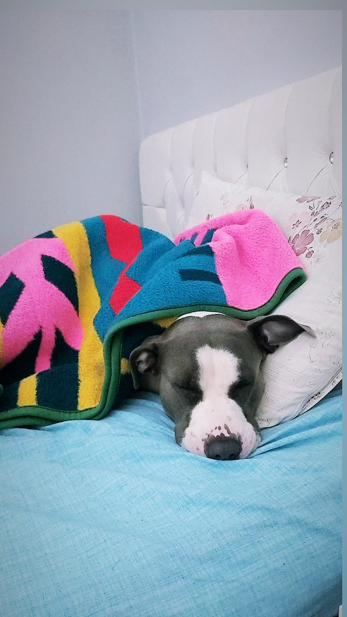 Bu neyin yorgunluğu 😊