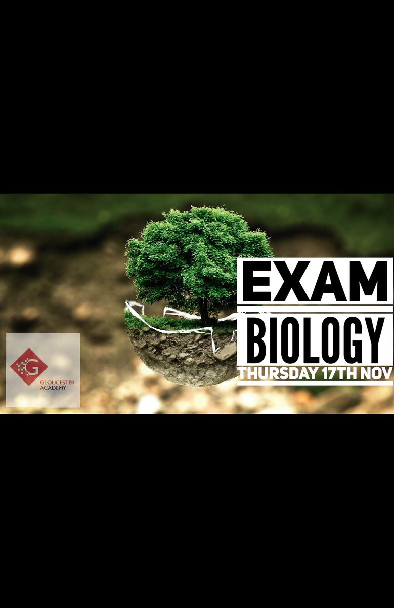 GAclassof_2023's tweet photo. We look forward to more mock exams tomorrow; Science (Biology) and History (The Normans).

Year 11 - We are extremely proud of what you have achieved so far this week!
Keep up the hard work.
@GloucsAcademy @GreenshawTrust https://t.co/QJx8h1Suzo