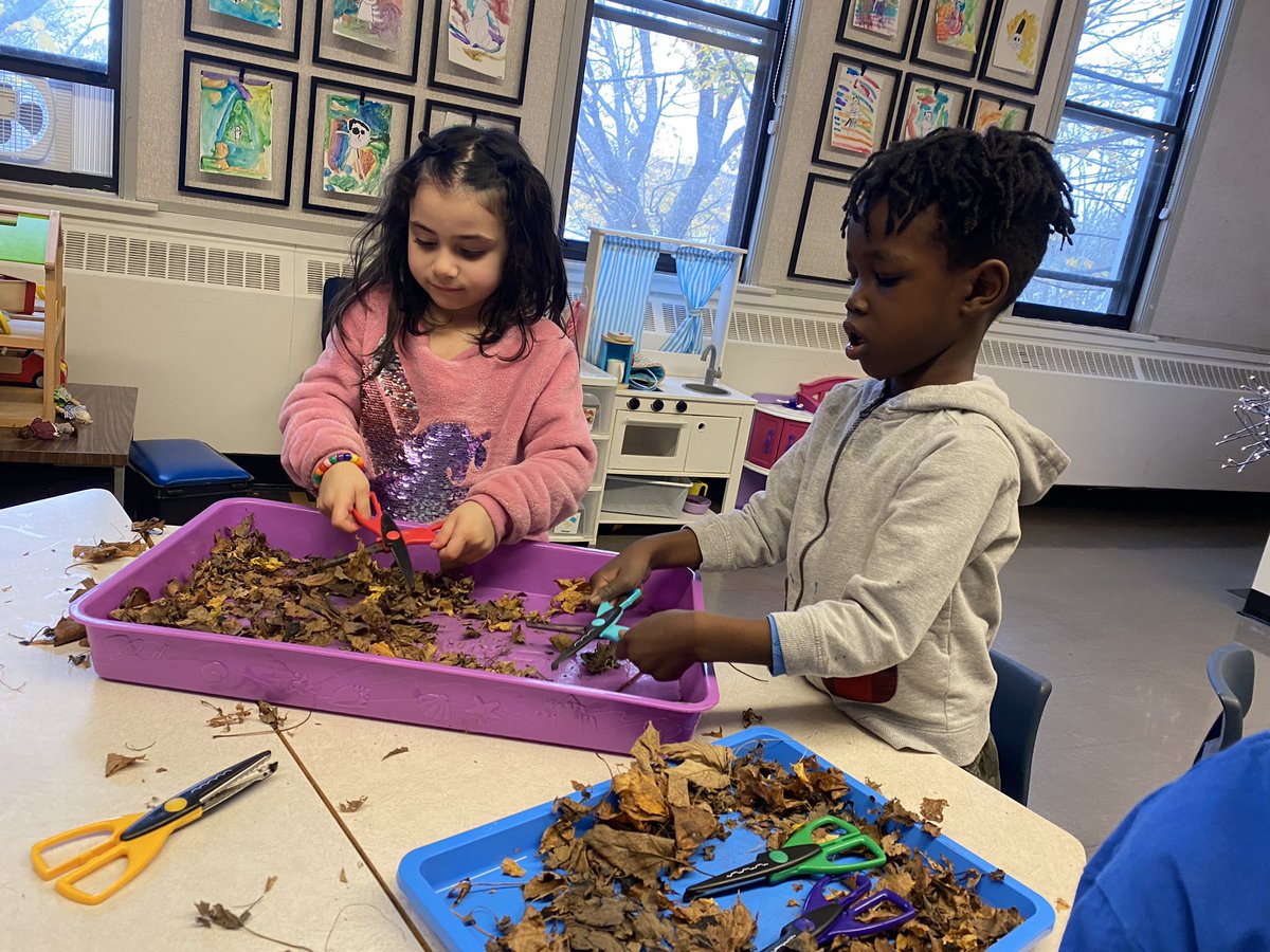 Making leaf confetti for a special project! 🍁🍂💫🪄 <a href="/RenniesRiver/">Rennie's River Elem</a>