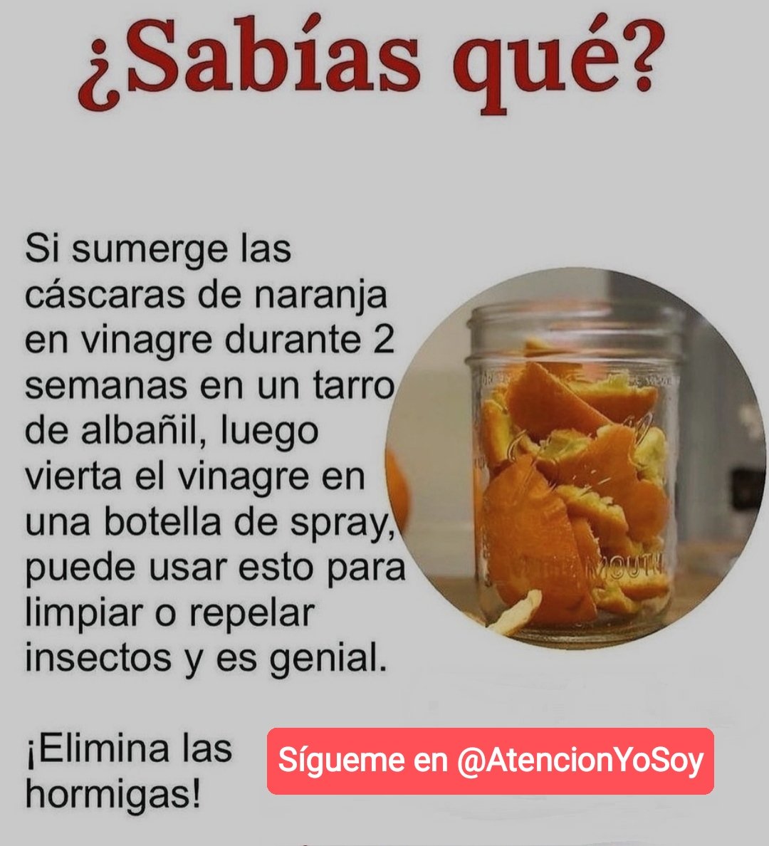 AtencionYoSoy's tweet photo. 🙏✨💫🌞Tip Saludable🌞💫✨🙏

¿Sabías qué?

*Regálame un Hola si me lees* https://t.co/7ugqFm9jfV