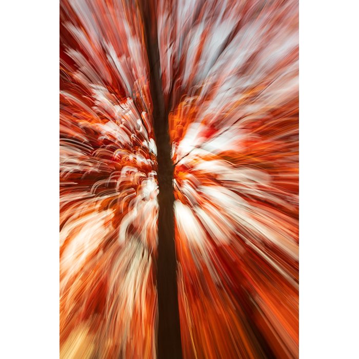 Matthew J. Kirsch Photography tweet media