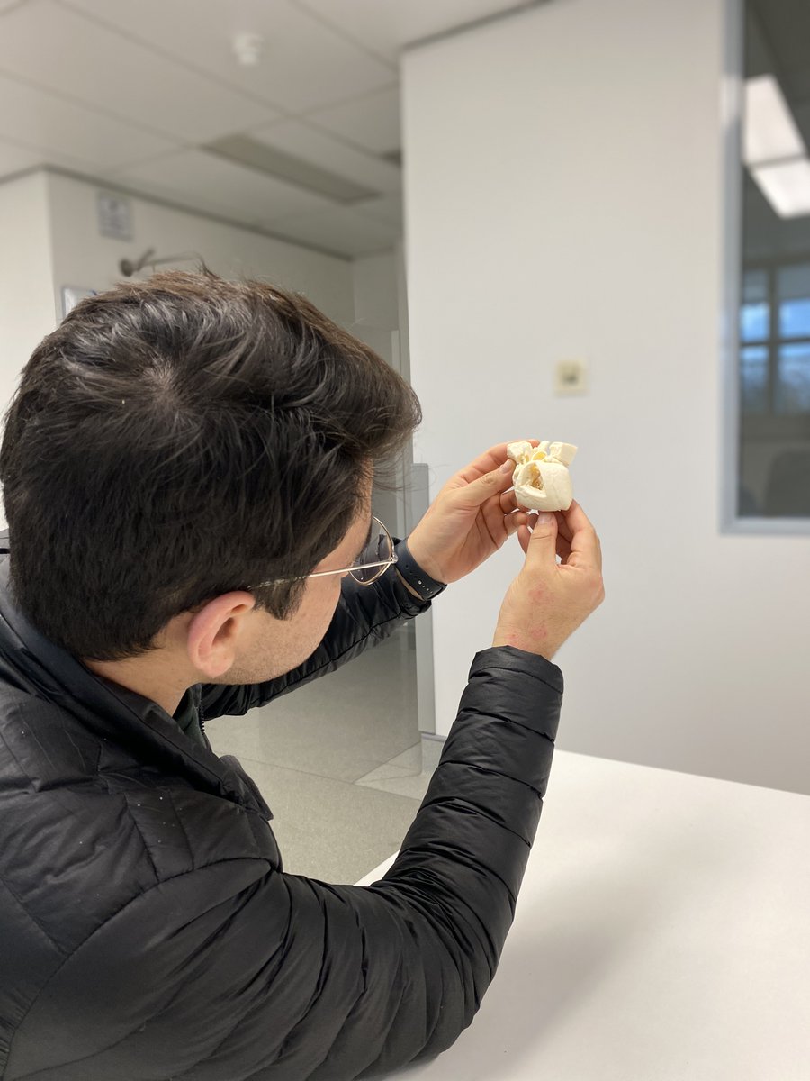 Tegan Cheng, PhD tweet media