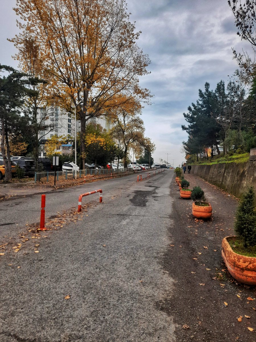 bir yalnızlık ki bölüşülür,
bir sevgi ki büsbütün bellidir,
bir fikir ki apaçık
bir umut ki şüpheden ırak
.... <a href="/oknontt/">Okan</a>