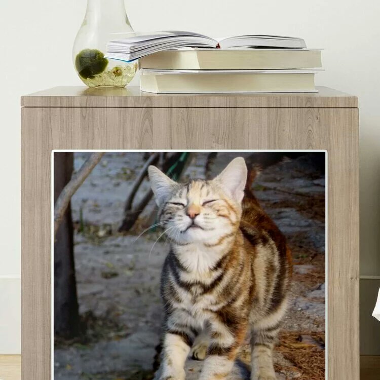 BranaghTh's tweet photo. Such a beautiful and cute stickers now at 25% lower price,more than 400 different ones until November 25 
https://t.co/M2yDs7hskV
Everything's 25% Off
@redbubble  #redbubbleshop #redbubble #Stickers #art #artwork #printondemand #explorepage #buy #gift #findyourthing #homedecor https://t.co/XTgN4LL5GG