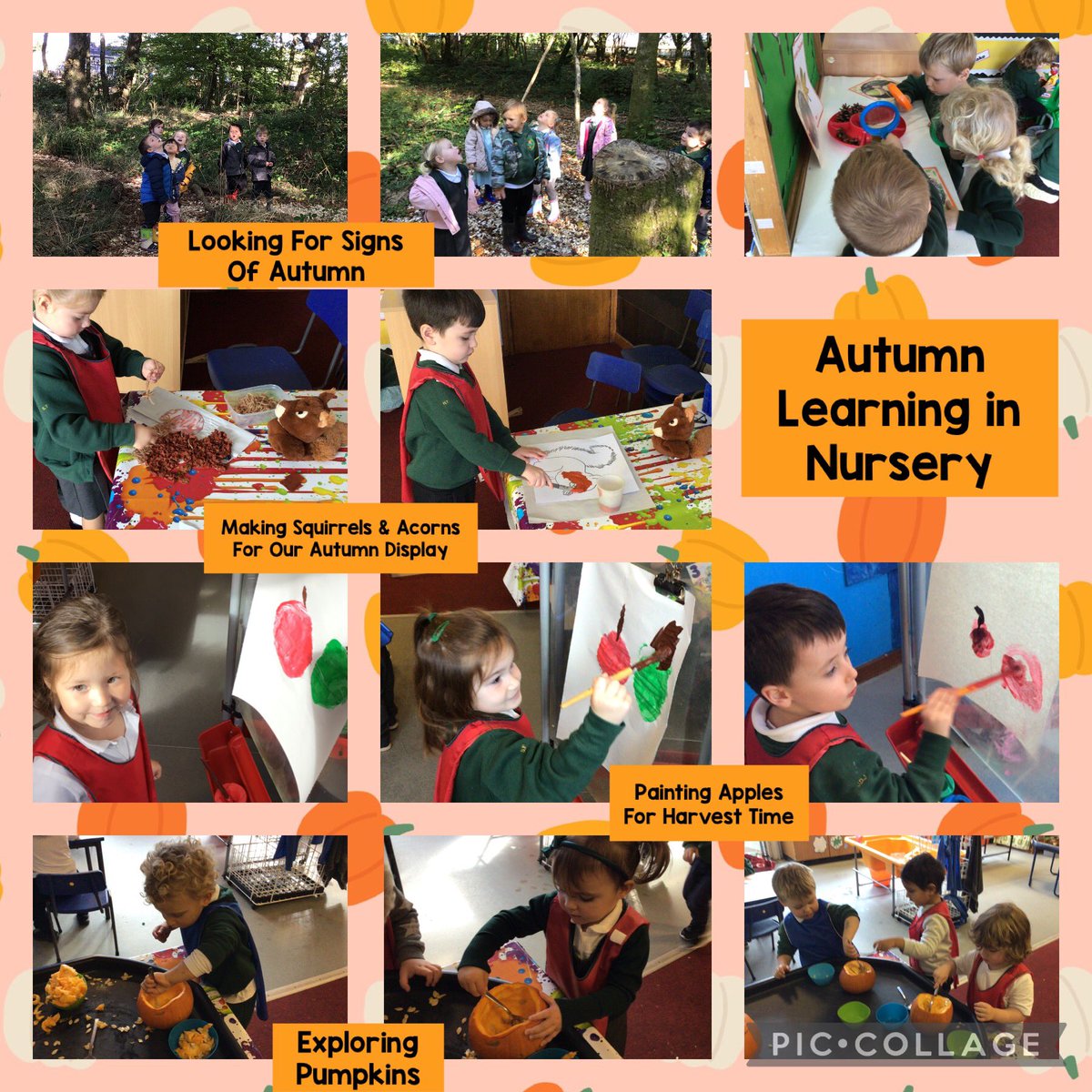 penlnurs's tweet photo. Look at what we have been up to. Weโve been on an Autumn mission in Nursery! ๐๐๐ฟ @PenllergaerP #ppsnur #ppsllc #ppsmd #ppshum https://t.co/sYyHomu3Zc