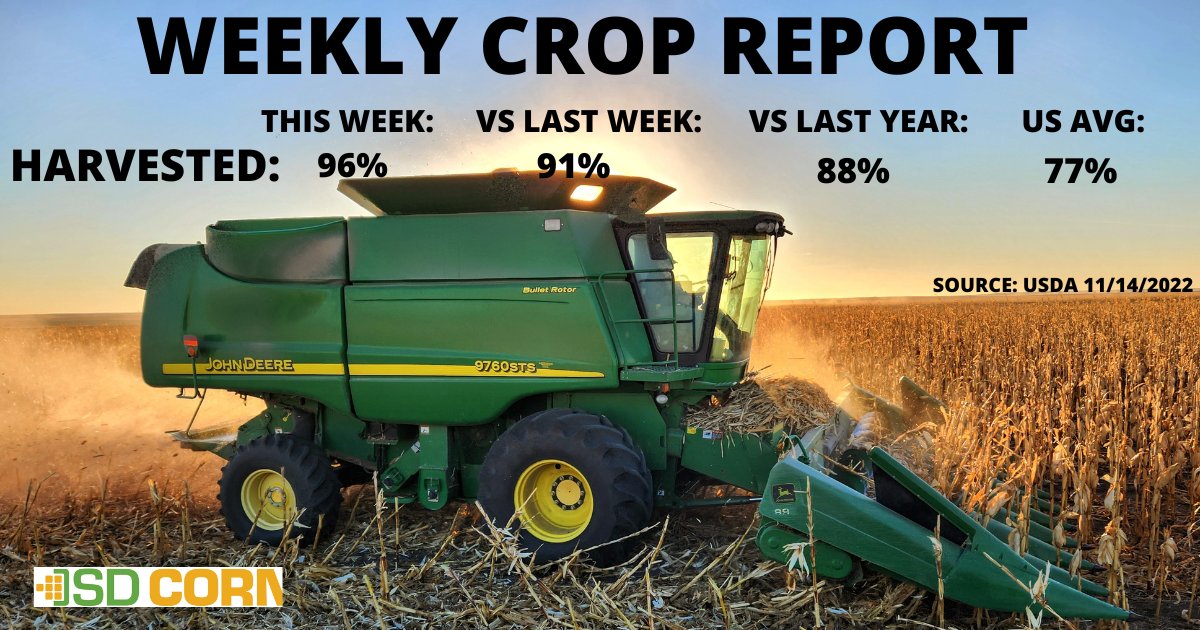 sdcorn's tweet photo. This week's @usdepag crop report puts the state's corn crop at 96% harvested. 

#cornharvest #harvest #corn #cropreport https://t.co/5IOW41KSFl
