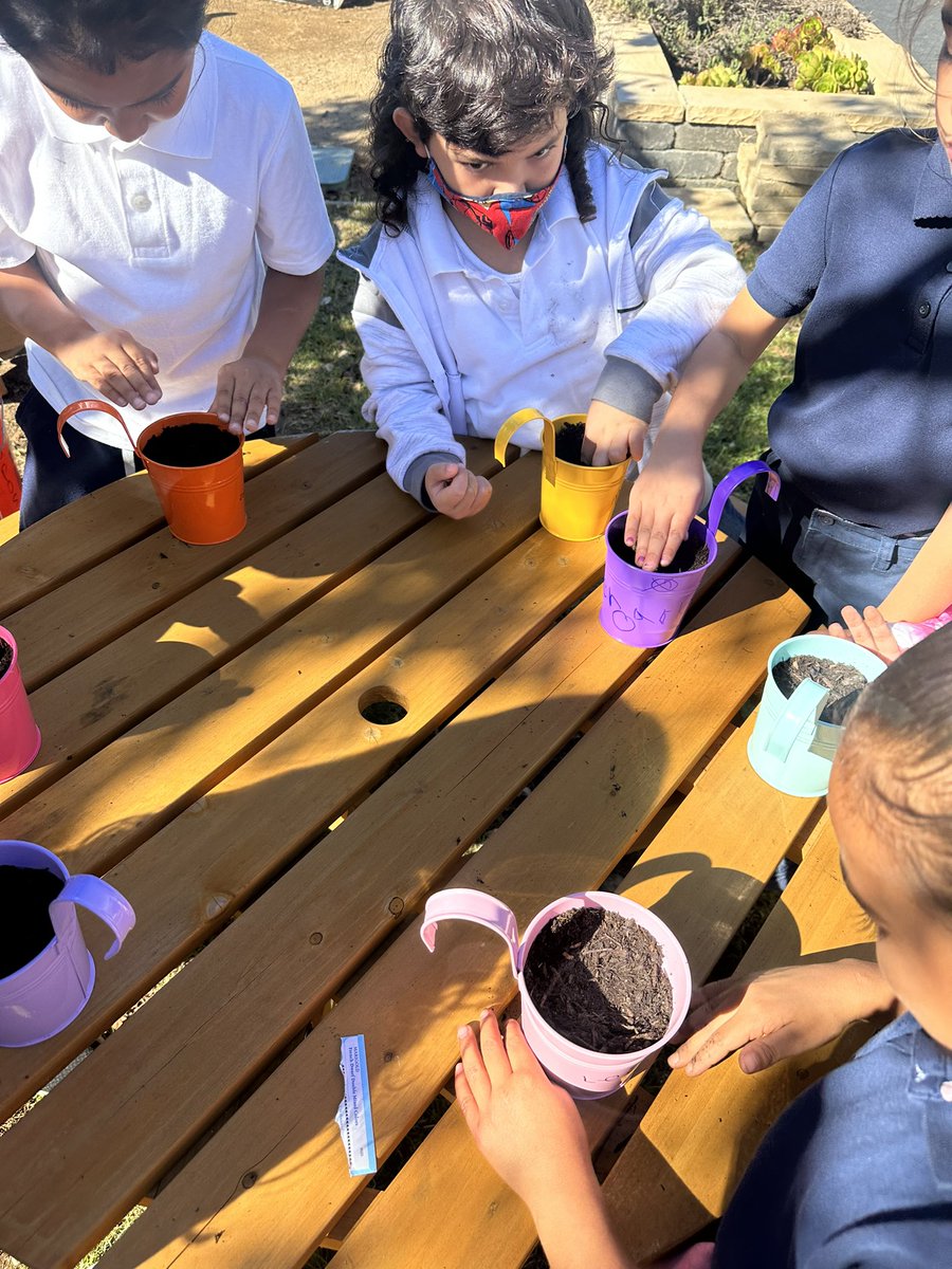 zayetzyj's tweet photo. @PanthersPW 1st graders doing seasonal planting 🪴 lessons. (Planted zanjas &amp; marigolds) they learned to talk positive to our plants to help them grow. @BCKPrograms #bckprograms #palmerway #NSDnow #plantshavefeelingstoo https://t.co/7GiQVdtbFj