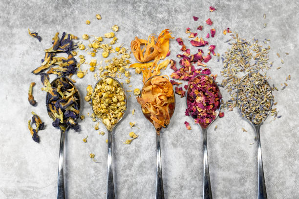 TheScentedLeaf's tweet photo. If youre struggling to pick just one tea from our collection, try our tea ssmaplers! Learn more here: https://t.co/gbV3GXPcBY https://t.co/1BuCuPg2Xw