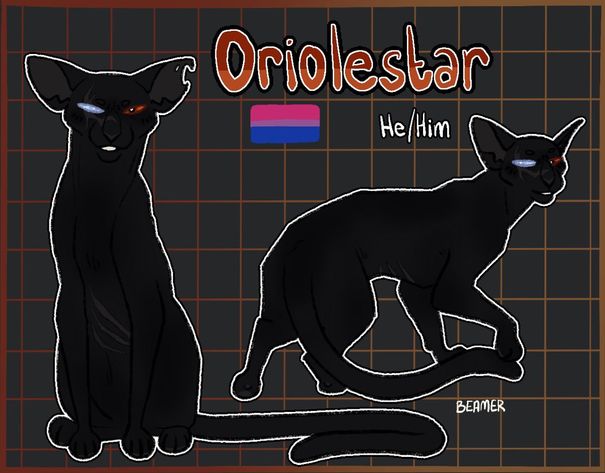 beamerdoesart's tweet image. character refs, but i progressively put less and less effort into them
#warriorcats #warriorsoc