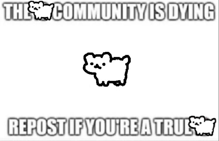 crumb (@cuptoast) on Twitter photo 