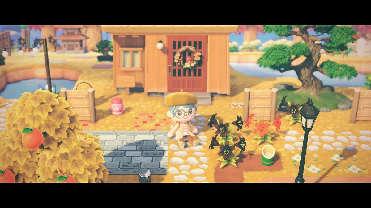 sodafrom's tweet photo. late fall at Kabuki's house #AnimalCrossing #ACNH #NintendoSwitch https://t.co/V76uep6a7e